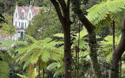 Portugal, Madère – Jardins Monte Palace